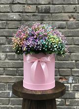 Цветочная композиция из Гипсофила и Розы в шляпной коробке в Светлом Саратовской области