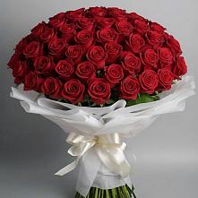 Букет 101 Красная роза Блэк Мэджик #REPLACE_PRED# Светлом Саратовской области