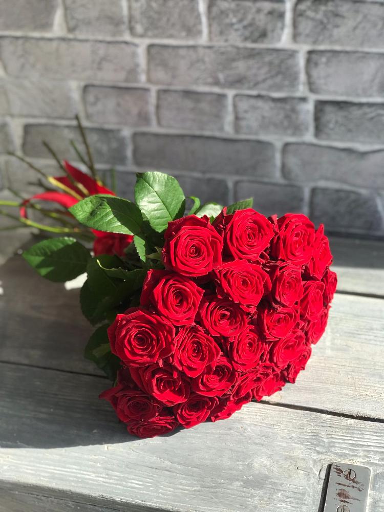Букет Красные розы Фридом в Светлом Саратовской области