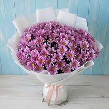 Букет цветов из:  Хризантемы в Светлом Саратовской области