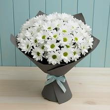 Букет цветов из:  Хризантемы в Светлом Саратовской области