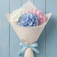 Букет цветов из:  Гортензия в Светлом Саратовской области