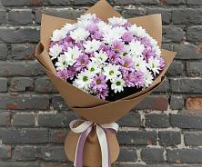 Букет цветов из:  Хризантемы в Светлом Саратовской области