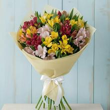 Букет цветов из:  Альстромерии в Светлом Саратовской области