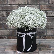 Цветочная композиция из Гипсофила в шляпной коробке в Светлом Саратовской области