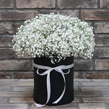 Цветочная композиция из Гипсофила в шляпной коробке в Светлом Саратовской области
