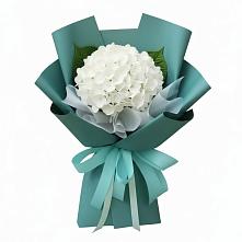 Букет цветов из:  Гортензия в Светлом Саратовской области